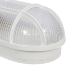 Luminária Tartaruga 1 Lâmpada Branca Plástico Franzmar