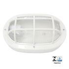 Luminária Tartaruga 23w / 25w Branca - Ilumi - 1 Unidade