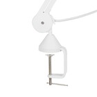 Lupa De Bancada Com Iluminação Led Solver Hl-500 8x