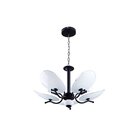 Lustre Bivolt Ricko 5 Startec Preto