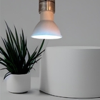 Lustre Cristal Teto Design Sofisticado Lâmpadas Inclusas Bivo