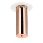 Lustre Luminária Pendente Ninho Ouro Rose Com Led Integrado 1