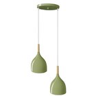 Lustre Pendente Aquarela Gota 2 Luzes Aqg2x1725pdvd Bronzearte