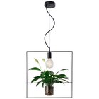 Lustre Pendente Avant Nature Quadrado Preto E27 Bivolt