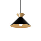 Lustre Pendente Blumenau Guto E27 Bivolt Preto/dourado
