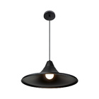 Lustre Pendente Blumenau Téo E27 Bivolt Preto