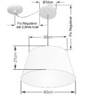 Lustre Pendente Cone Com Desvio Md-4273 Cúpula  21/30x40cm Ca