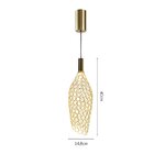 Lustre Pendente Skylight Honey 4091s 40cm Led Bivolt Dourado