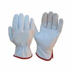 Luva De Proteção Vaqueta Petroleira Ca35693 - Plastcor