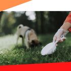 Luva Descartavel Viniflex Gg 100un Vabene