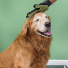 Luva Mágica Removedora De Pelos Pet Verde U