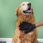 Luva Mágica Removedora De Pelos Pet Verde U