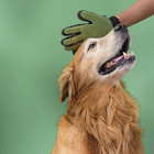 Luva Mágica Removedora De Pelos Pet Verde U