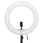 Luz Contínua Led Ring Light 18 Pol 5600k Branco E Laranja