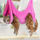 Maca Suspensa Gato Cachorro Caes Aparar Cortar Unha Pet Anima