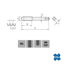 Macho Manual Bsp 12,7-1/2" X 14 109/d Osg