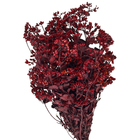 Maço Chuvisco Desidratada