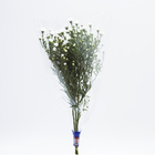 FLOR DE CORTE MAÇO DE ASTER