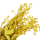 Maço Dedo de Anjo Desidratada