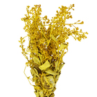 Maço Dedo de Anjo Desidratada