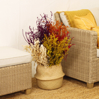 Maço Dedo de Anjo Desidratada