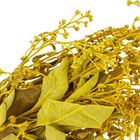 Maço Dedo de Anjo Desidratada