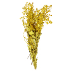 Maço Dedo de Anjo Desidratada