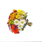 Maço Flores Sensações