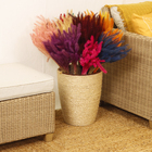 Maço Rabo de Esquilo Desidratada