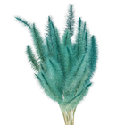 Maço Rabo de Esquilo Desidratada