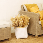 Maço Samambaia Imperial Desidratada