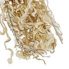 Maço Samambaia Imperial Desidratada