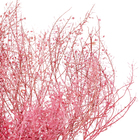 Maço Sementinha Desidratada