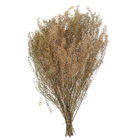 Maço Sementinha Desidratada