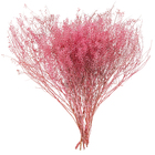 Maço Sementinha Desidratada