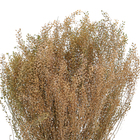 Maço Sementinha Desidratada