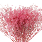 Maço Sementinha Desidratada