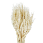 Maço Trigo Desidratada