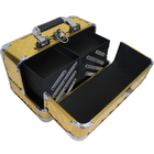 Maleta Organizadora Para Maquiagem com Alumínio 6 Bandejas -