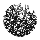 Mandala Circular Galhos - Preto - 120 Cm