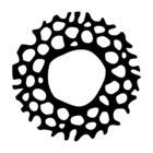 Mandala Sol - Marrom - 120 Cm