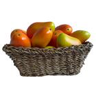 Manga Artificiais Realistas Kit Com 20 Unidades Para Fruteira