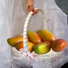 Manga Artificial Realista 18 Unidade Decorativa Para Cenários