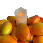 Manga Decorativa Fruta Artificial 7 Unidades Para Cenários E