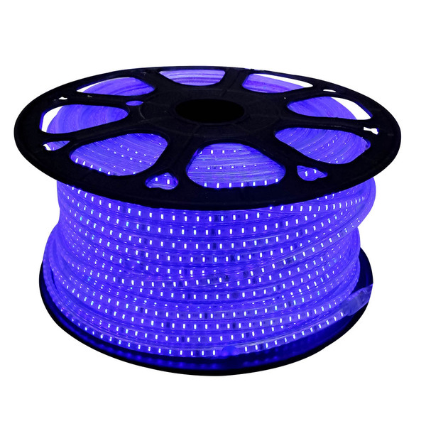Mangueira De Led 100m Iluminação Azul Luz Natal Rolo Redonda