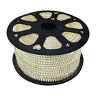 Mangueira De Led 100m Iluminação Branca Luz Natal Rolo Redond