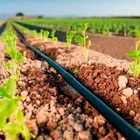 Mangueira De Polietileno 1" X 2,00 X 50 M - Selo Vermelho