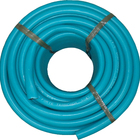 Mangueira Jardim Forte Luxo Quintal Casa Verde 3/4- 20m