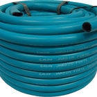 Mangueira Jardim Forte Luxo Quintal Casa Verde 3/4- 20m