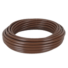 Mangueira para Irrigação 3/4 30m Rain Bird